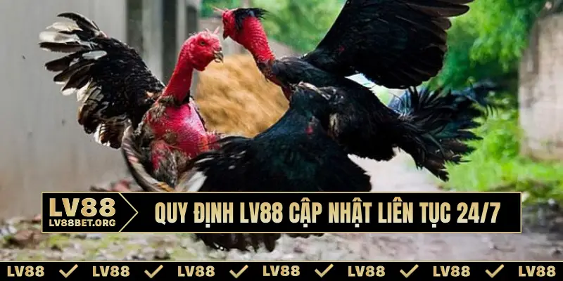Quy định LV88 cập nhật liên tục 24/7